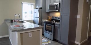 The Palms The Palms Gallery 6