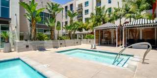 Vive on the Park Gallery 41