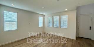 109 Clownfish Street Gallery 9
