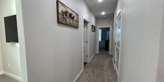 138 Clark Lane Gallery 16