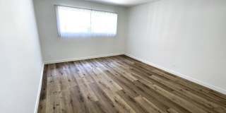 10908 Rose Gallery 24