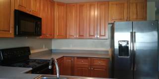 3244 Sugar Berry Way Gallery 7