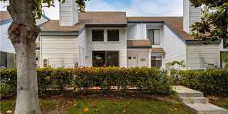 115 Fallingstar Gallery 2