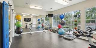 Escalante Gallery 20