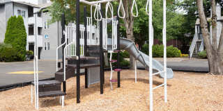 Mountain Meadows Gallery 26