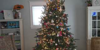 1618 Niles Avenue Gallery 40