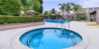 The Terrace Apartments Gallery 5