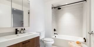 The Noble Gallery 29