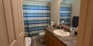 Cozy PG 3-Bedroom -- Large Fenced Yard Cozy PG 3-Bedroom -- Large Fenced Yard Gallery 8