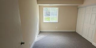 Northgate Gallery 163