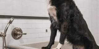 Hanover RiNo Gallery 14