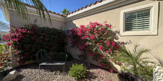 80372 Camino San Lucas Gallery 60