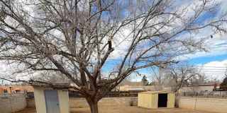Centrally located in the NE Heights 4 bedroom, 1 3/4 Bath 1900 square feet. Gallery 19