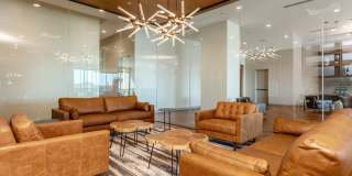 Live Grandscape Gallery 5