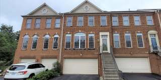5344 BLUE ASTER Circle Gallery 1