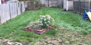 2 Bedroom Canton Home for Rent Gallery 5