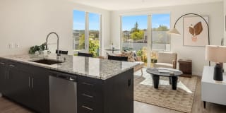 Broadstone Vin Gallery 1