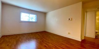 Updated 2 Bedroom off Guadalupe! 3815 Guadalupe Gallery 9