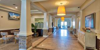 Solace Apartments Gallery 28