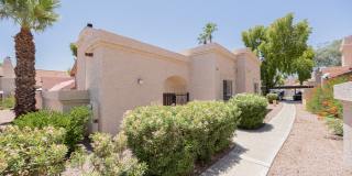 2019 West Lemon Tree Place 2019 West Lemon Tree Place Gallery 1