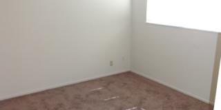 SINGLE STORY, 4 BED, 2 BA, LARGE LOT, ARDEN ARCADE AREA SINGLE STORY, 4 BED, 2 BA, LARGE LOT, ARDEN ARCADE AREA Gallery 15