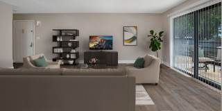 Willow Trail Gallery 9
