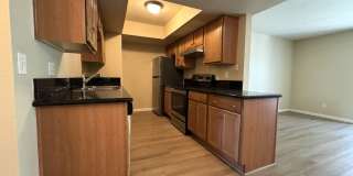 MELROSE DISTRICT CONDO WITH HUGE MOVE-IN SPECIAL – HALF OFF FIRST & SECOND MONTH’S RENT! Gallery 20