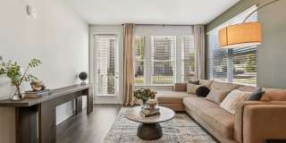 Ascend at Carlton Gallery 55