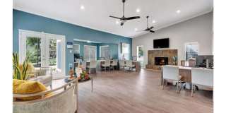 Walden Lakes Gallery 33