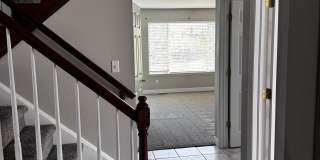 10408 Lone Lynx Gallery 8
