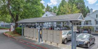 Hampton Park Gallery 5