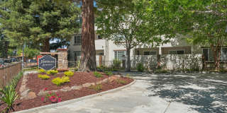 Northgate Apartments Gallery 17