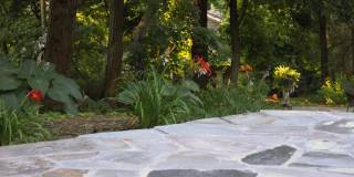 55 Edgemont Road Gallery 46