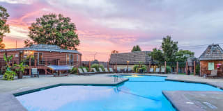 Treetop Lodge Apartments Gallery 2