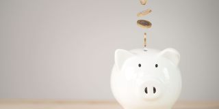 Ascend at Valverde Gallery 1