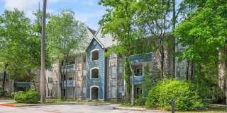 Forest View Gallery 12