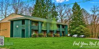 Brittain Road multi-family apartment with 1 bedroom and 1 bathroom! Gallery 1