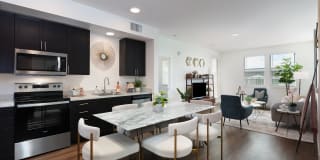 Senior Housing- Palmia, Age 55+ Luxury Apartments Gallery 6