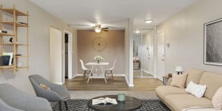 Rose Vista Gallery 7