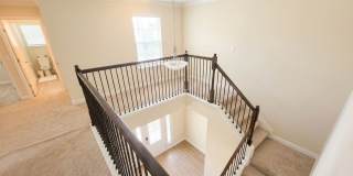8196 Cape Fox Drive Gallery 11