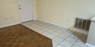 10629 Cymbid Drive Gallery 10