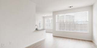 Halstead Alexandria Gallery 39
