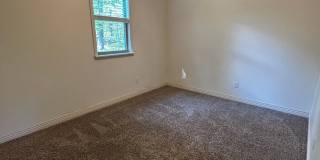 Private Treehouse Views - 3 Bed 2 Bath Home on Cul de sac in Bella Vista! Gallery 15