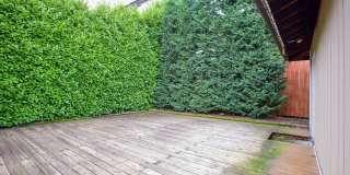 Beautiful 4 bedroom plus office home in Ballard Gallery 38
