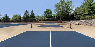 Annen Woods Annen Woods Gallery 32