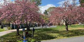 14 SANDY LN Gallery 7