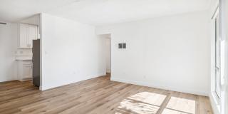 Terre At 1038 Peach Gallery 8