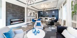 Elevate 155 Gallery 27