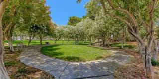 1433 Goldenspur Lane Gallery 38