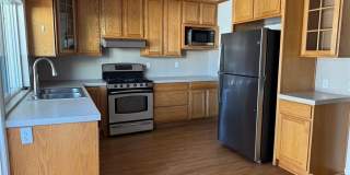 8 Springfield Gallery 1